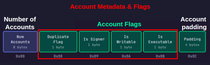 A diagram showing the account metadata and flags section