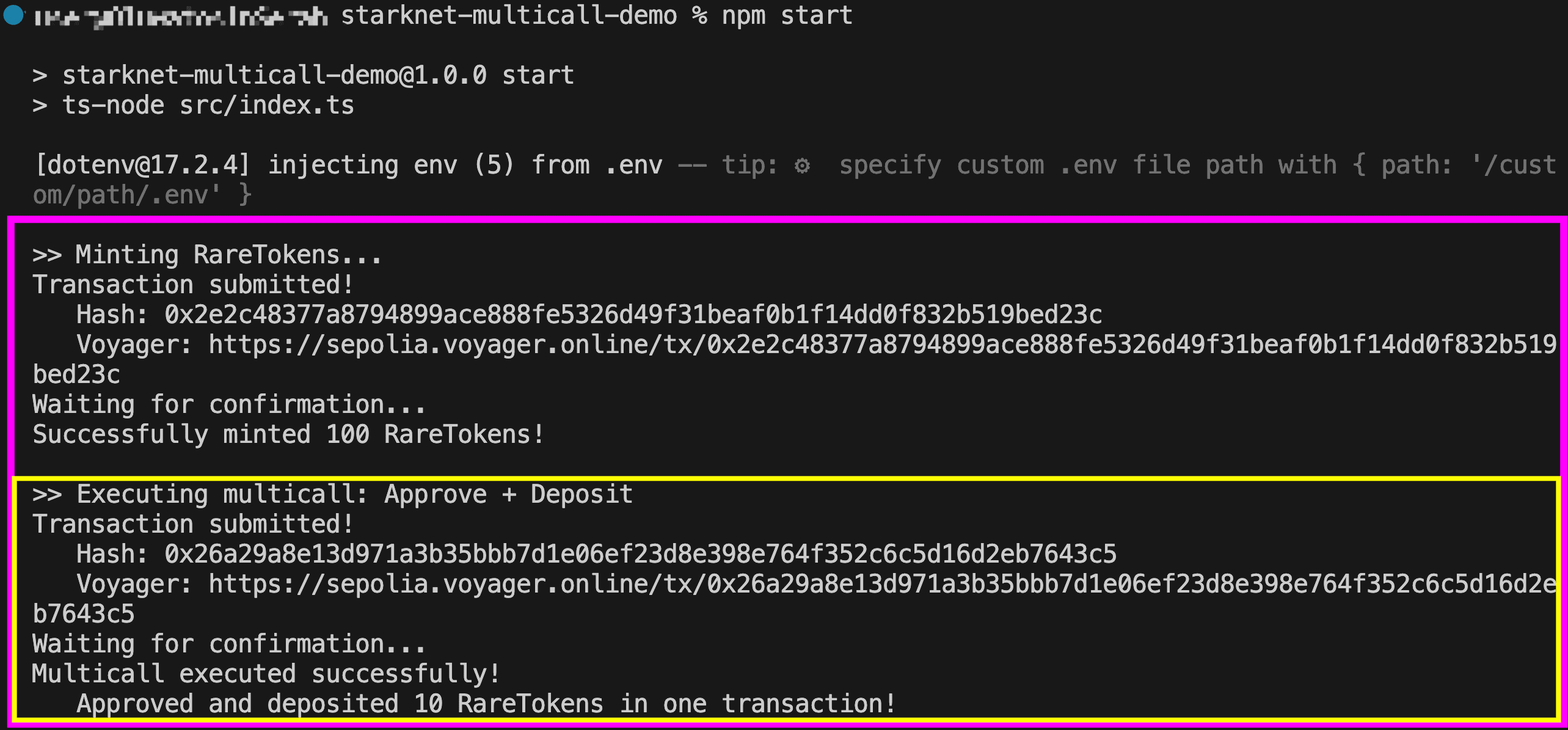 Terminal output of npm start showing two operations: 100 RareTokens minted successfully, followed by a multicall executing the approve and deposit in one transaction