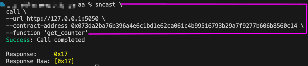Terminal showing a call to get_counter