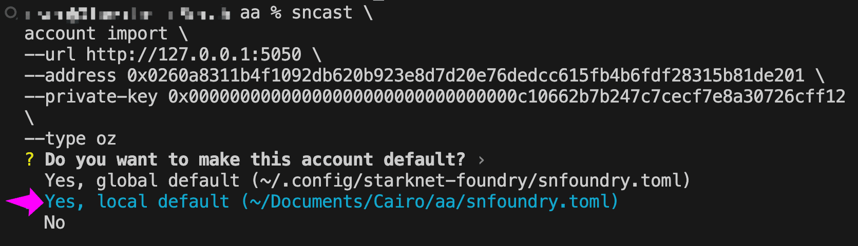 Account import command with the local default option highlighted