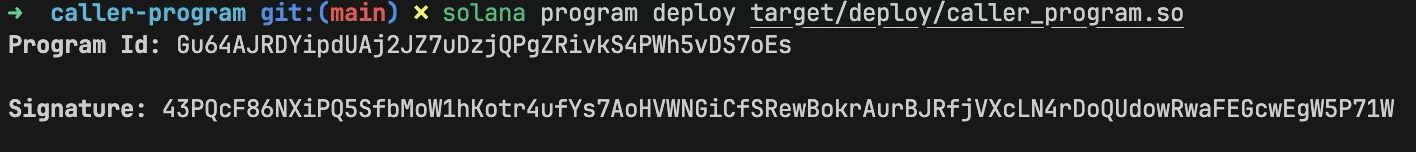 A screenshot showing the Program ID