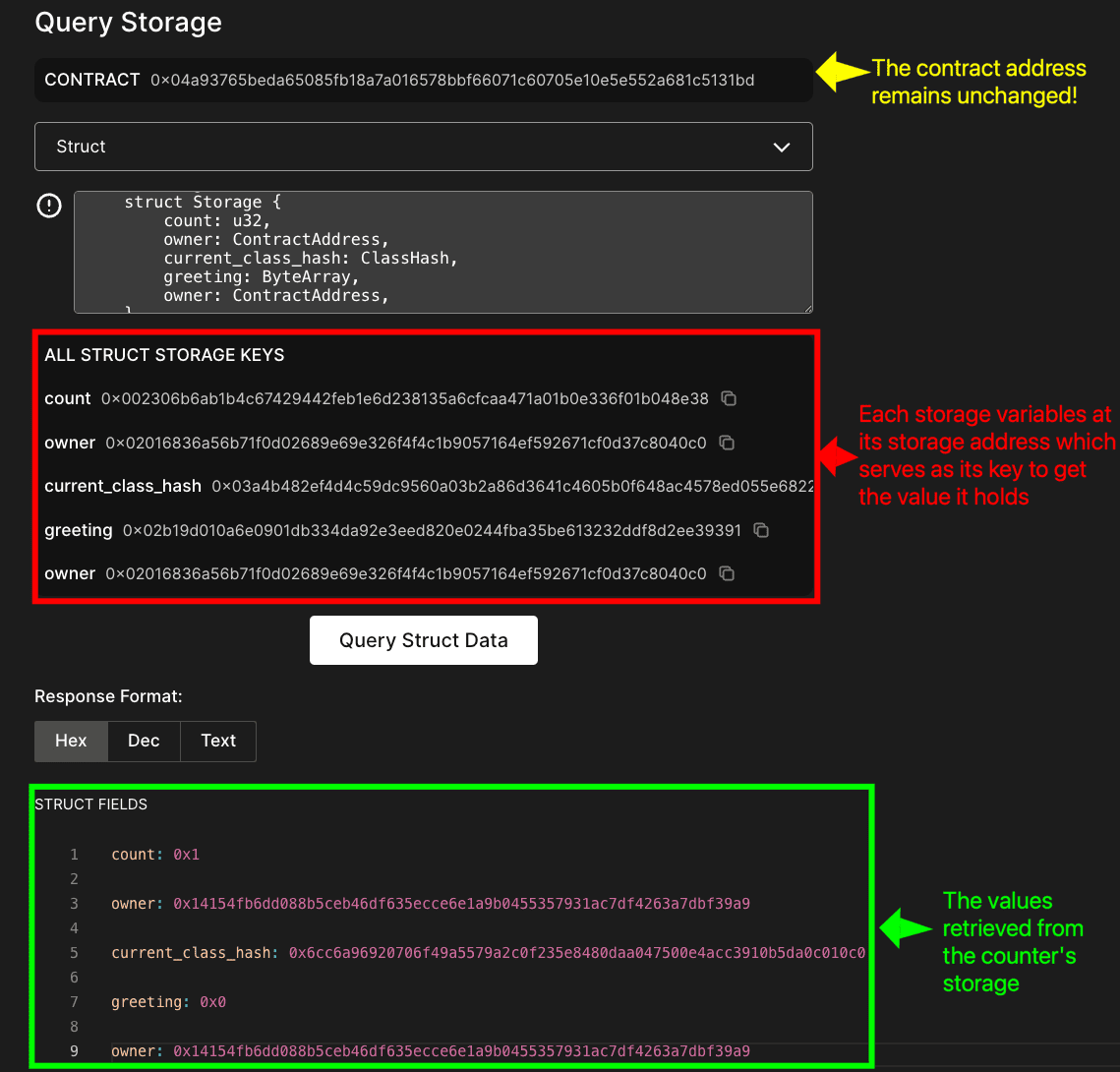 Storage query showing struct fields for counter contract