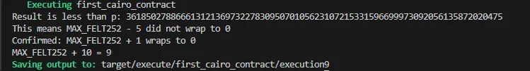 A screenshot showing the terminal output from the code snippet above