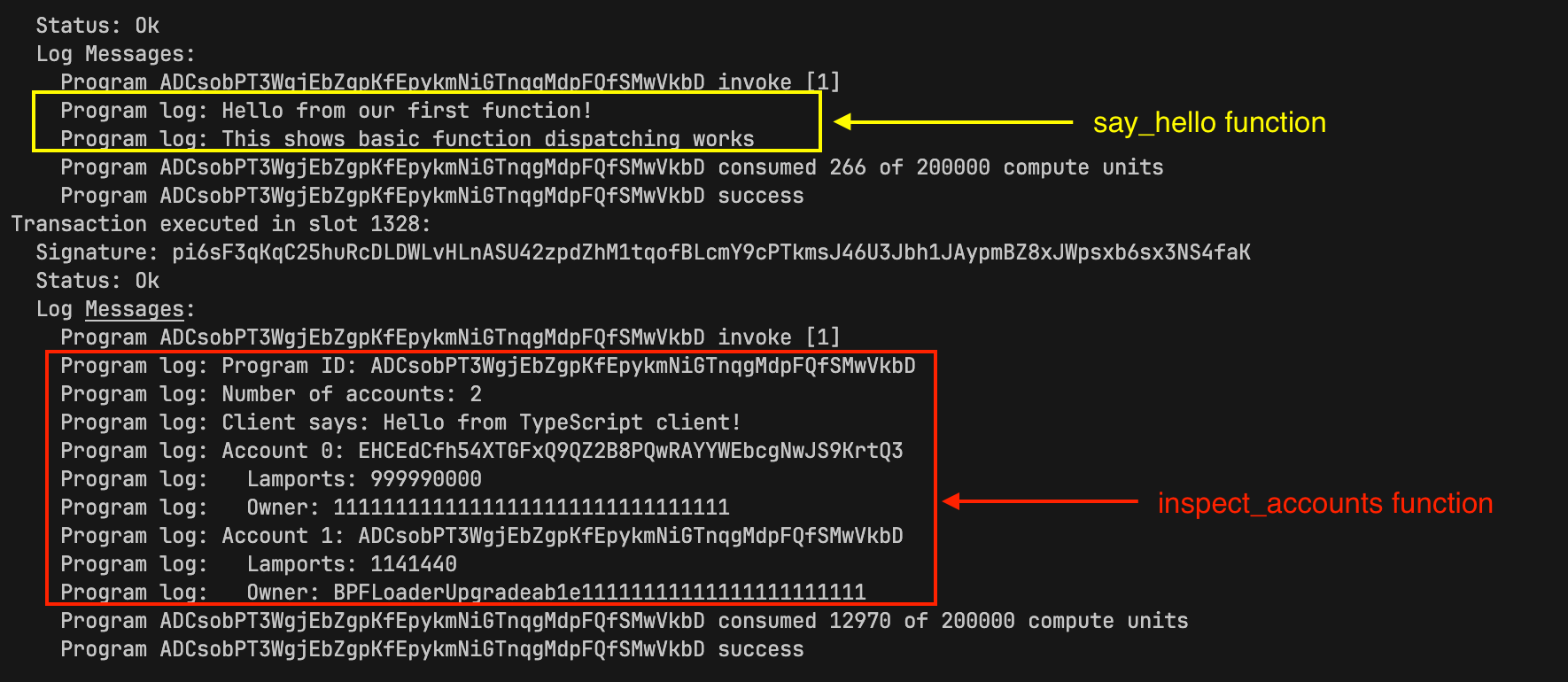 A screenshot showing program log messages highlighting the say_hello function and inspect_account functions.