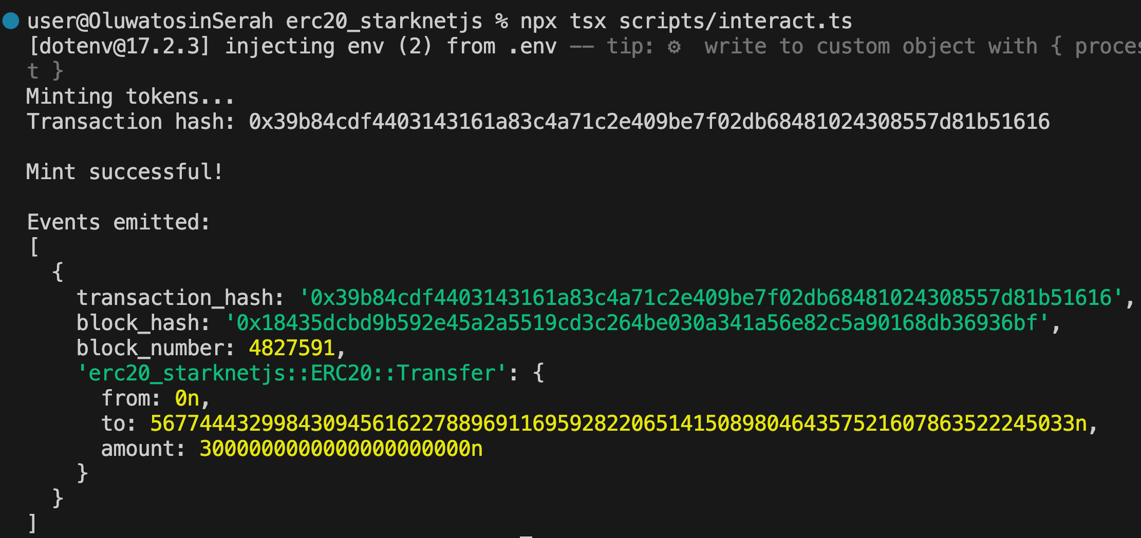 Terminal output showing successful token minting transaction with Transfer event details