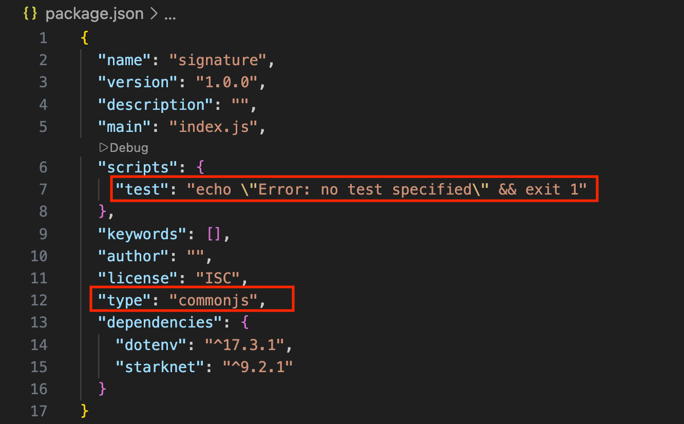 A screenshot of the package.json file for the newly created project