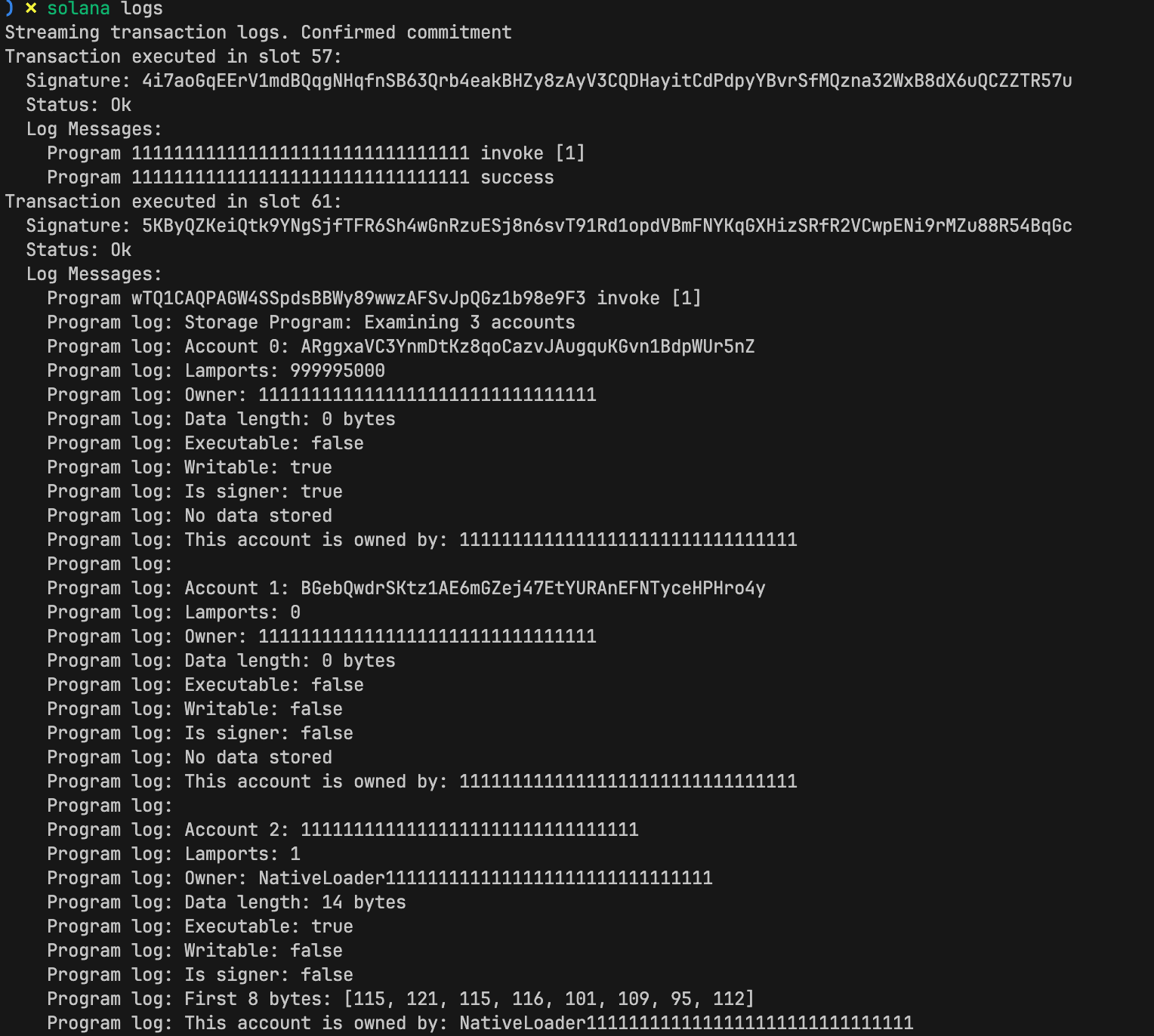 A screenshot showing Solana logs for a transaction
